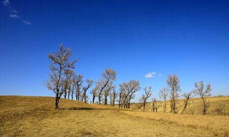 PLATEAU WINTER SCENEの写真素材