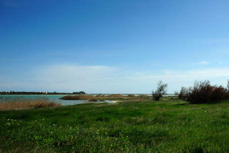 Glade near Lake Moinaki  Evpatoriaの写真素材