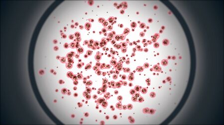 Embryonic mitosis stem cells colony tissue section magnified in microscope. Cellular therapy...
