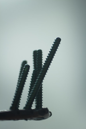Traumatology orthopedic surgery implant plate and screws in semi silhouette against plain studio background. Closeup macro vertical photograph in blue tones.の写真素材