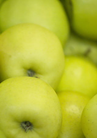 Green apples close-up photo.の写真素材