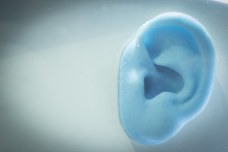 Plastic blue human ear model color photograph.の写真素材