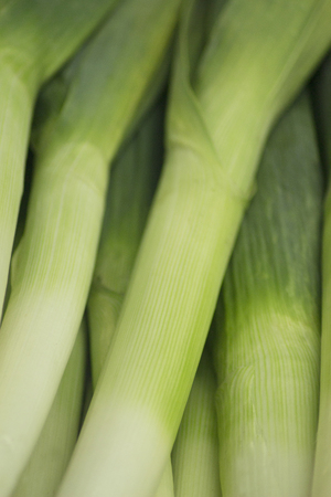 Leeks vegetables on sale in supermarket grocers shop on display.の写真素材