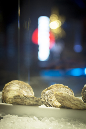 Oysters in dish on ice in restaurant photo.の写真素材