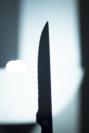 Kitchen cooking knife for cutting food and preparing food.