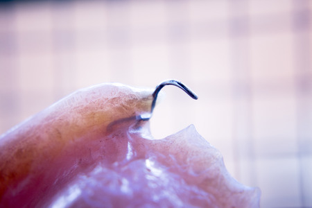 Removable partial denture metal and plastic dental false teeth prosthetic.の写真素材