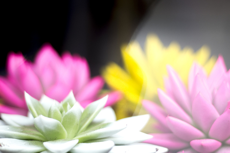 Bouquet of pretty spring flowers and in bunch in florists' store on sale.の写真素材