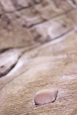 Indoor climbing wall training artificial rock with boulder hand and foot holds for rope attachment in sports center gymnasium.の写真素材
