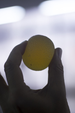 Physiotherapy equipment for physical therapy for hand, finger and thumb strength and rehabilitation exercises with ball.の写真素材