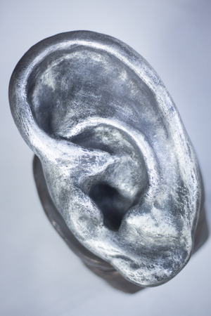 Human ear Audiologist medical model cast used for Audiologists to demonstrate different ear parts for patients.の写真素材