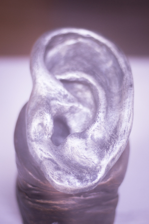 Human ear Audiologist medical model cast used for Audiologists to demonstrate different ear parts for patients.の写真素材