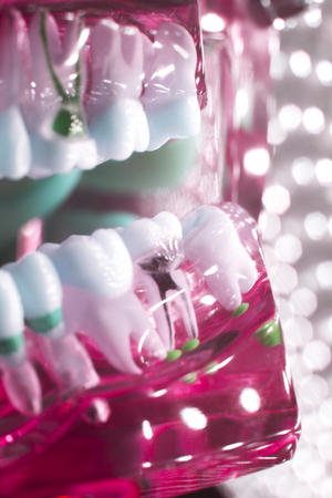 Dentists dental teeth teaching model showing each tooth, gum, root, implant, decay, plaque and...