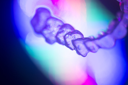 Invisible teeth retainers orthodontic brackets. Plastic modern straighterners to correct tooth alignment.の写真素材