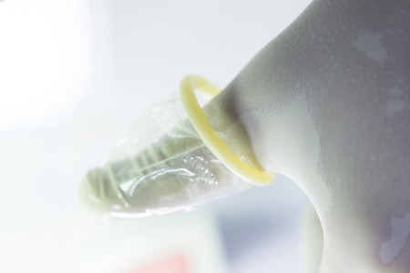 Rubber latex condom male contraceptive for safe disease and pregnancy free sex.の写真素材