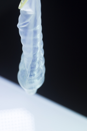 Rubber latex condom male contraceptive for safe disease and pregnancy free sex.の写真素材