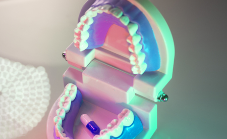 Dental teeth, mouth, gums dentists teaching model showing each tooth and roots.の写真素材