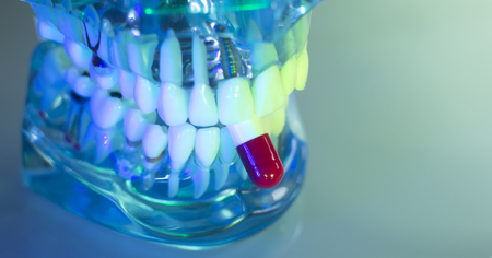 Dental teeth, mouth, gums dentists teaching model showing each tooth and medication drug pill.