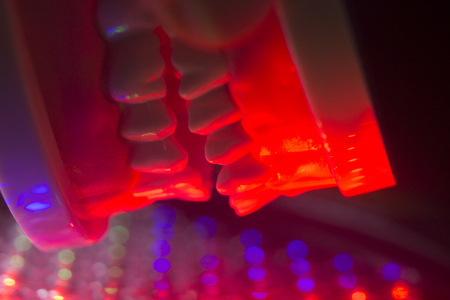 Dental teeth orthodontic dentistry teachng model with gums, tooth enamel, roots and jaw.の写真素材