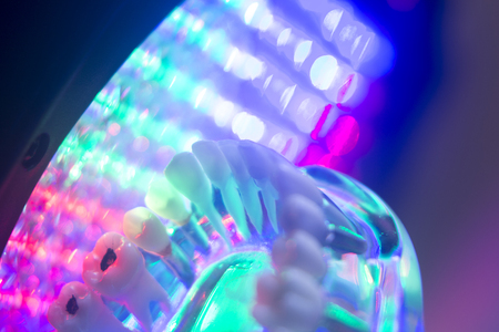 Dental teeth orthodontic dentistry teachng model with gums, tooth enamel, plaque, roots and metal implants.の写真素材