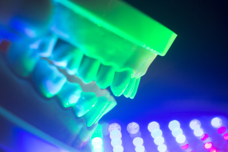 Dental teeth orthodontic dentistry teachng model with gums, tooth enamel, roots and jaw.の写真素材