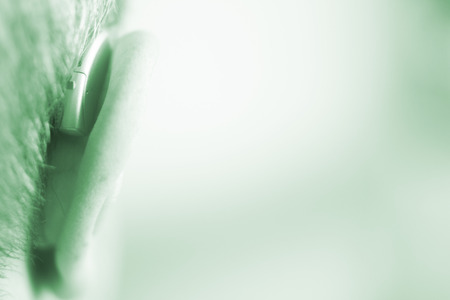 Modern digital in the ear hearing aid for deafness and the hard of hearing patients.