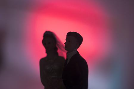 Wedding couple marriage cake topper plastic figures with tuxedo evening suit, white weddding dress veil.の写真素材