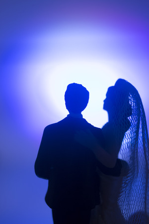 Wedding couple marriage cake topper plastic figures with tuxedo evening suit, white weddding dress veil.の写真素材