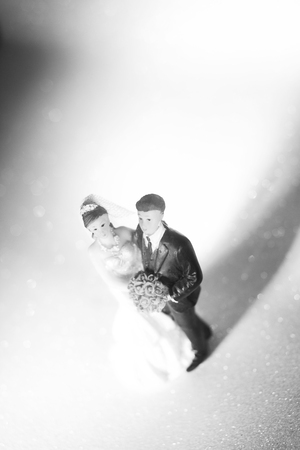 Wedding couple marriage cake topper plastic figures with tuxedo evening suit, white weddding dress veil.の写真素材