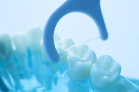 Inter dental teeth cleaning brush healthy floss action between each tooth to remove plaque.の写真素材