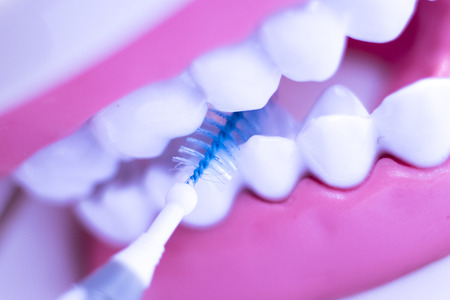 Inter dental teeth cleaning brush healthy floss action between each tooth to remove plaque.の写真素材