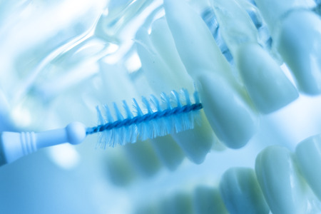 Inter dental teeth cleaning brush healthy floss action between each tooth to remove plaque.の写真素材