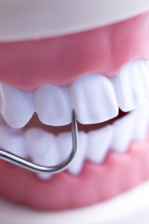 Dentist cleaning teeth with titanium metal tooth pick instrument to remove plaque and decay.の写真素材