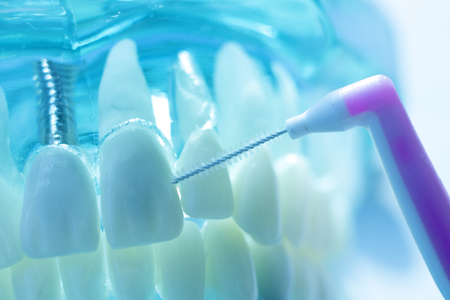 Inter dental teeth cleaning brush healthy floss action between each tooth to remove plaque.の写真素材