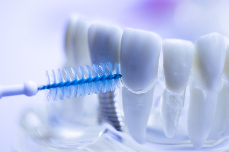 Inter dental teeth cleaning brush healthy floss action between each tooth to remove plaque.