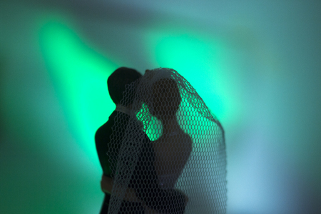 Wedding couple marriage cake topper plastic figures with tuxedo evening suit, white weddding dress veil.の写真素材