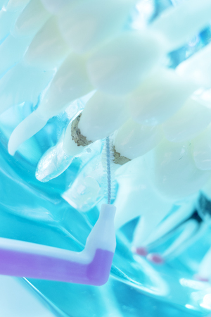 Inter dental teeth cleaning brush healthy floss action between each tooth to remove plaque.の写真素材