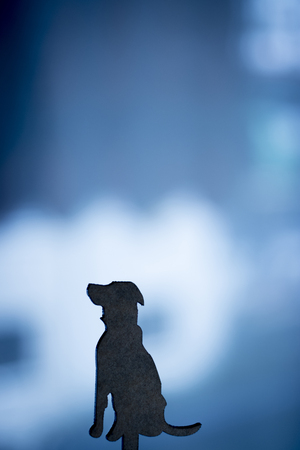 Cute dog sitting obeying orders silhouette profile shape.の写真素材