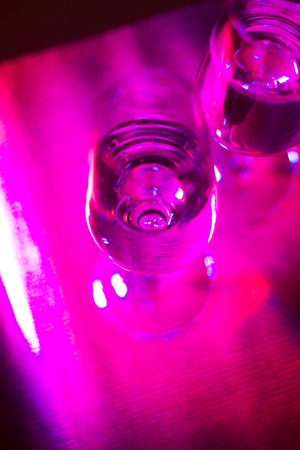 Champagne sparkling wine glass of prosecco cava in discotque party bar during wedding in Ibiza Spain with lights behind.の写真素材