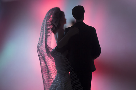 Wedding couple marriage cake topper plastic figures with tuxedo evening suit, white weddding dress veil.の写真素材