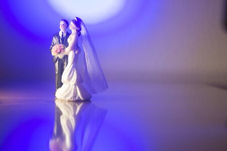 Wedding couple marriage cake topper plastic figures with tuxedo evening suit, white weddding dress...