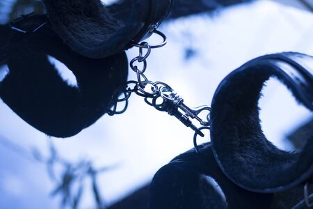 Leather bondage s&m handcuff restraints for kinky adult sexy domination games.の写真素材