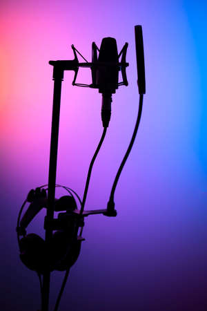 Voiceover studio large diaphragm cardioid microphone in professional voice recording studios.の写真素材