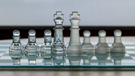 Chess King Pieces - business concept series - merger, contacts, competition, network, survive, success の写真素材