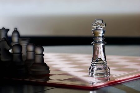 Chess King / Pieces - business concept series - advertise, marketing, stand out, be seen, sales, strategy, intelligence, power, competition, leadership, player, win.の写真素材