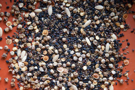 Mixed vegetable and flower seed splayed on terracotta plant pot, tumbling out of focus on the edges の写真素材