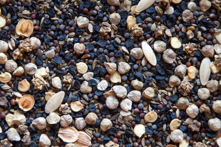 Mixed vegetable and flower seed - background texture の写真素材