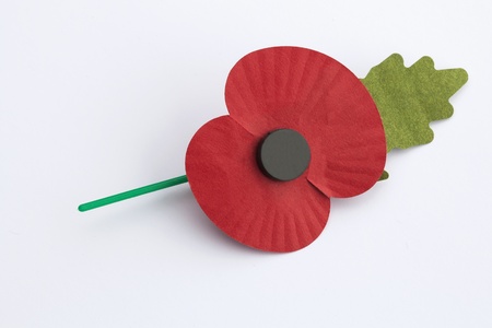 Poppy for Remembrance Day - isolated on white background の写真素材