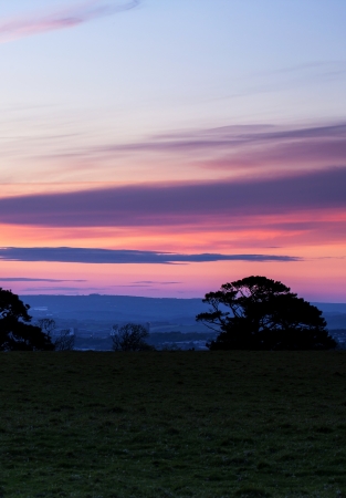 Beautiful red sunset with tree silhouettes の写真素材