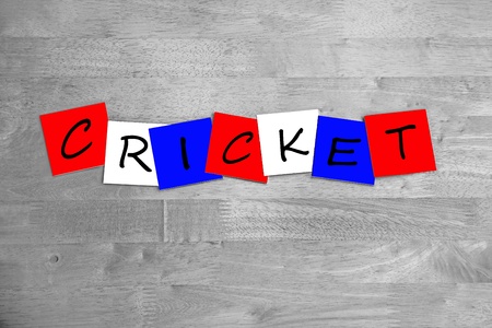 Cricket - in letters - sign / banner -  red, white & blue.の写真素材