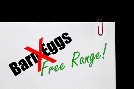 Barn Eggs, Battery Farm or Free Range Eggs  Food Industry の写真素材